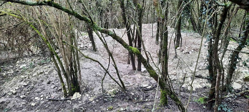 Le haut des Sorins à Turny