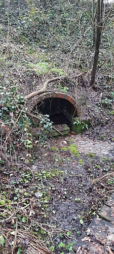 Le haut des Sorins à Turny