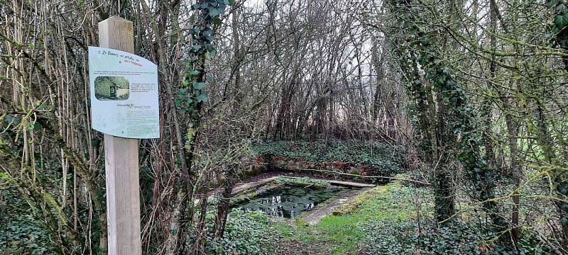 Le haut des Sorins à Turny