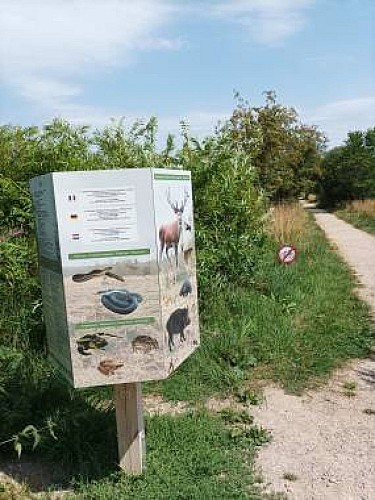 Sourbrodt sentier natur accessible 01 maison du parc
