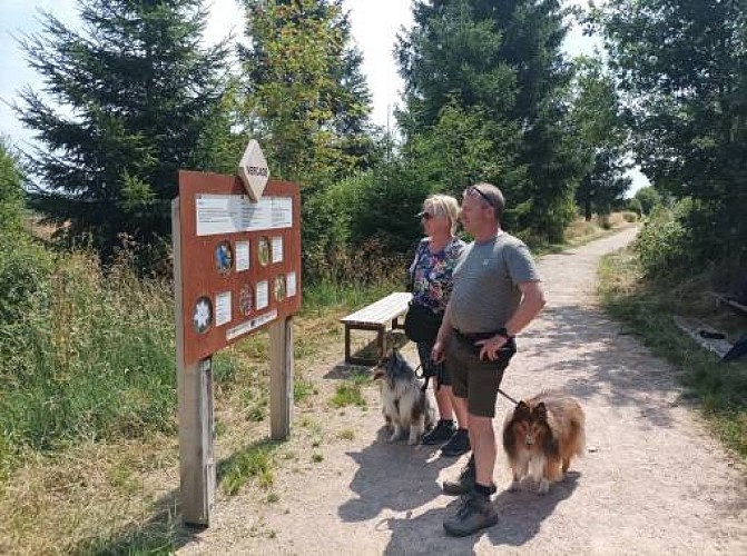 Sourbrodt sentier natur accessible 08 maison du parc