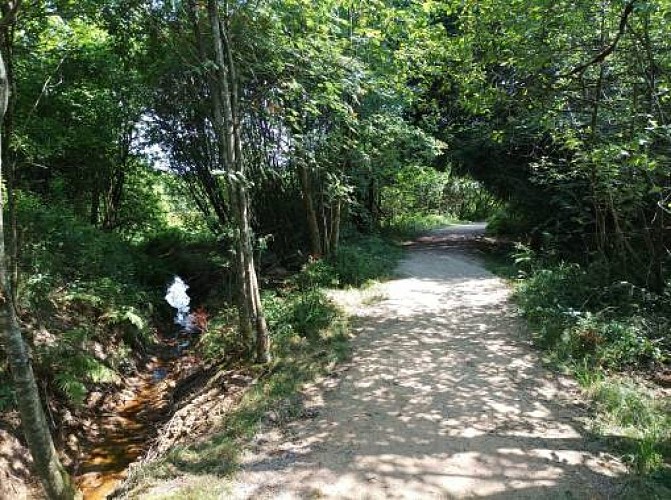 Sourbrodt sentier natur accessible 02 maison du parc