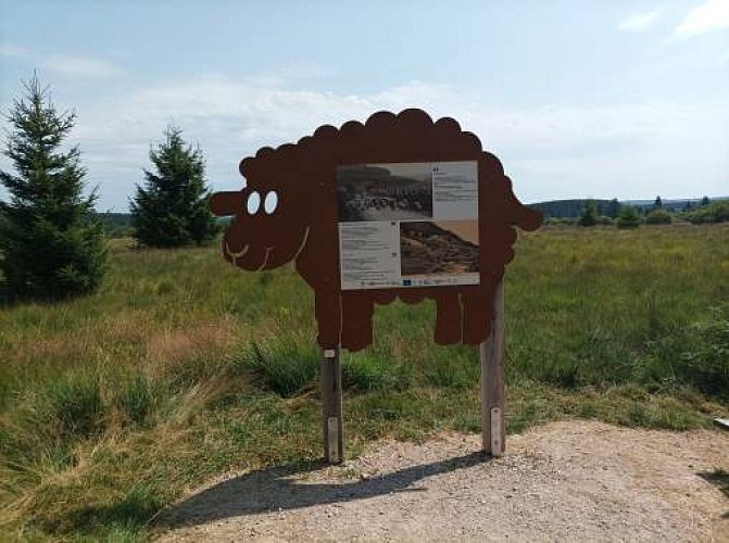Sourbrodt sentier natur accessible 09 maison du parc