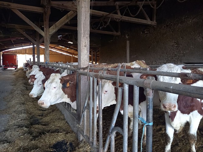 Fromagerie Berthier - Avril-sur-Loire