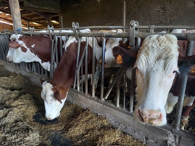 Fromagerie Berthier - Avril-sur-Loire
