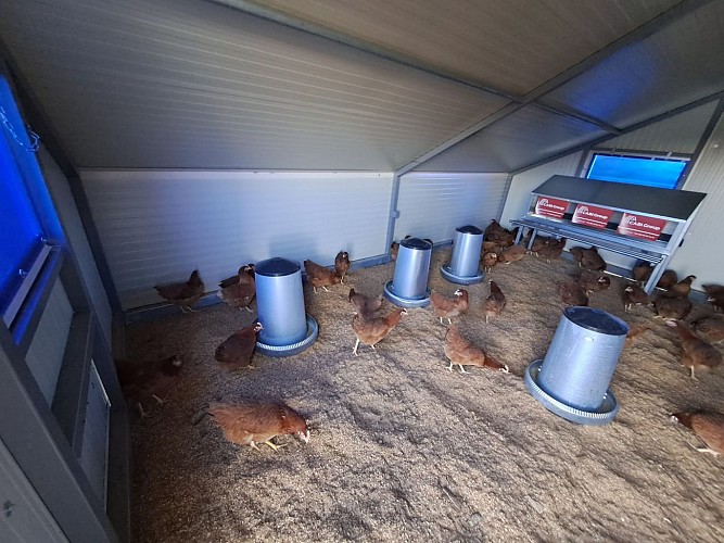 les saveurs fermières de sophie