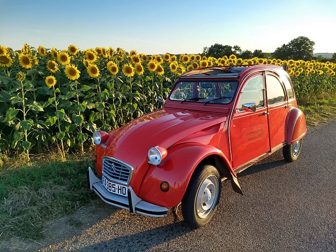 Location 2CV à L'étang de Baye