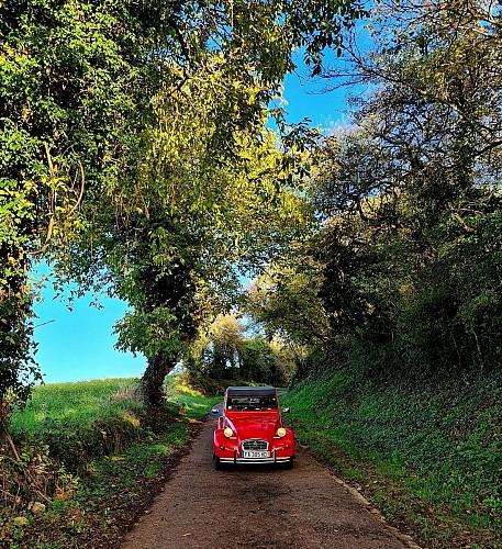 Location 2CV