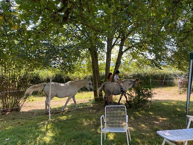 LE RELAIS POYO - ARQUIAN