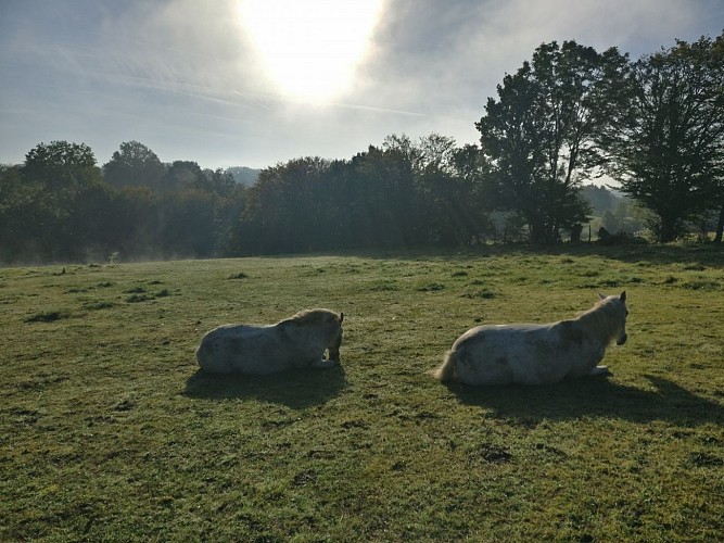 LE RELAIS POYO - ARQUIAN