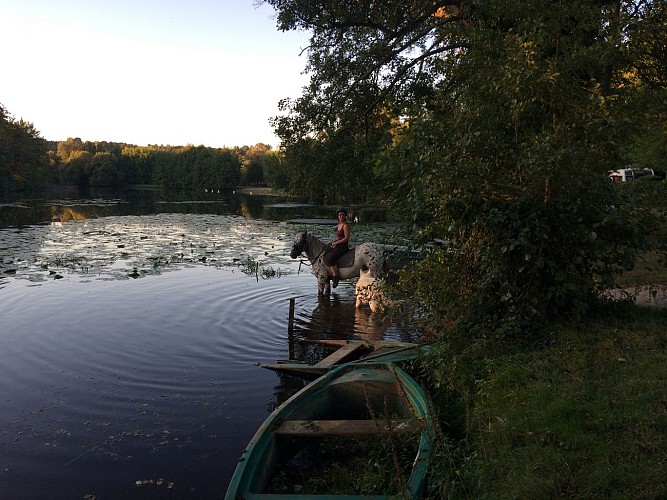 le-relais-poyo-arquian-chambre-dhotes-activites-equestre (2)