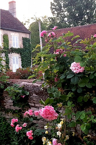 Capture d’écran 2023-06-26 à 20.16.01