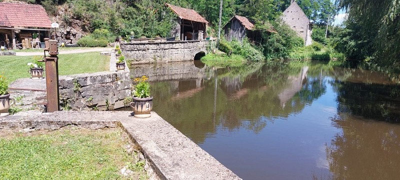 IMG-20220610-WA0004(1)