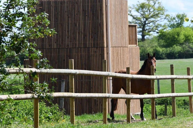 IMG_20230502_154235_310