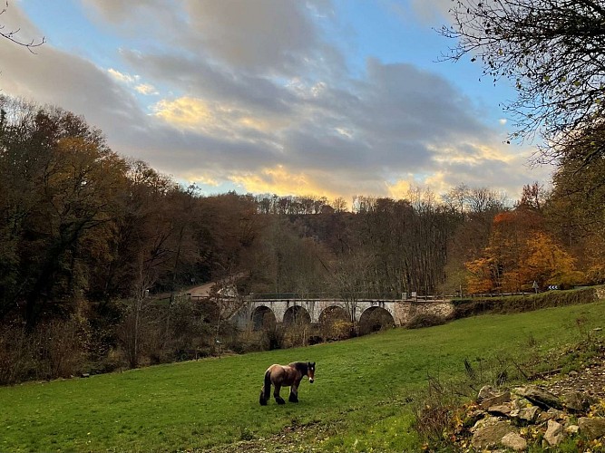 Cheval & pont près du moulin