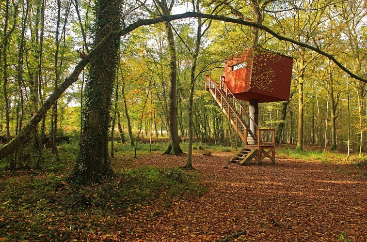 Les Galants - le Nid Penché