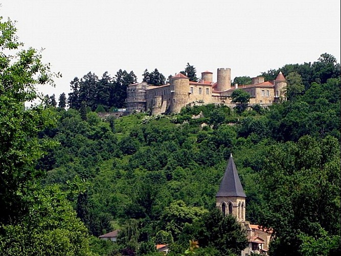 Vue éloignée du château 