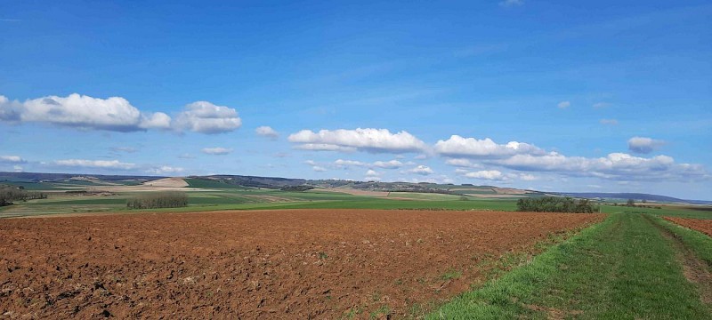 Image du circuit