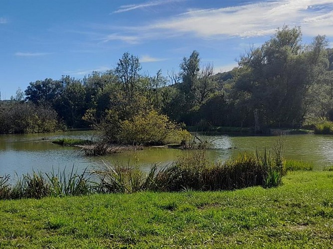 AIRE DE SERVICES ET STATIONNEMENT CAMPING-CAR