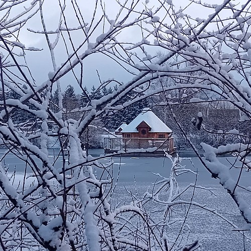 Aire de services et stationnement