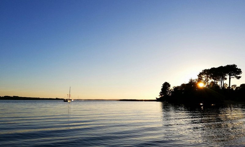 les-oreades-lac-de-sanguinet