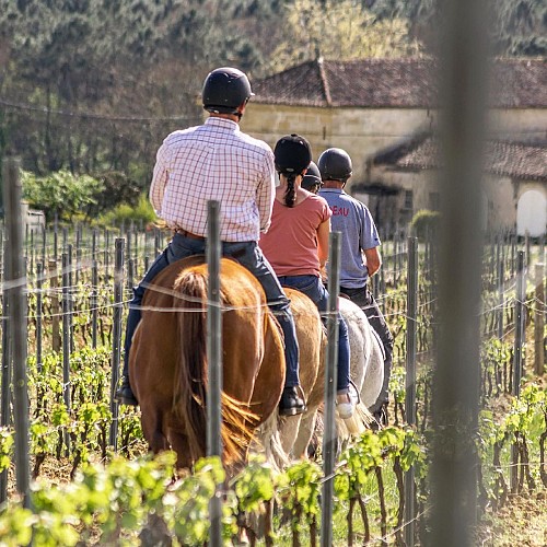 2021 château les armes de Brandeau equitation Les salles de Castillon Lauret Nathalie 2