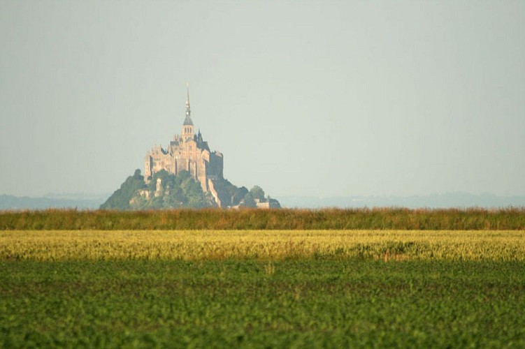 Vue sur le Mont-Saint-Michel