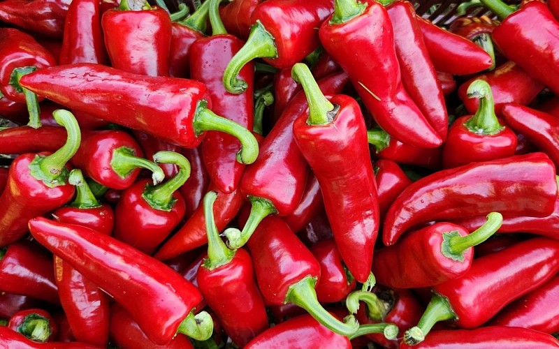 20230920_104250 - 2024@Kultur Piments