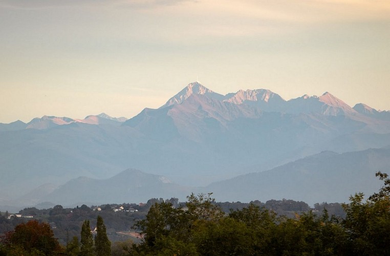 Domaine Mont Riant - Jurançon - la vue du parc