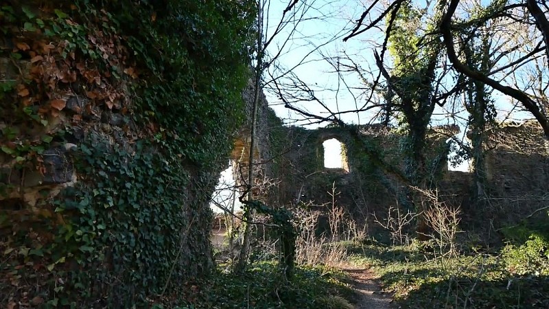 Ruines du château 