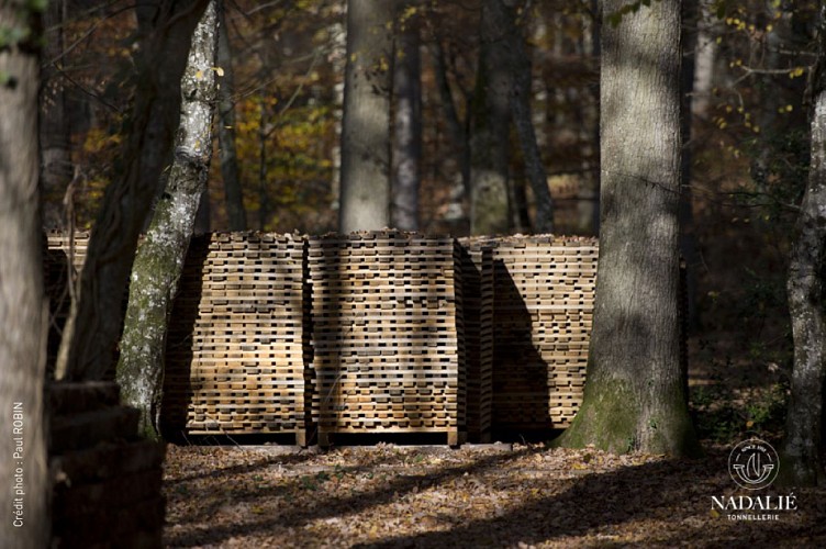 Parc à bois Nadalié_