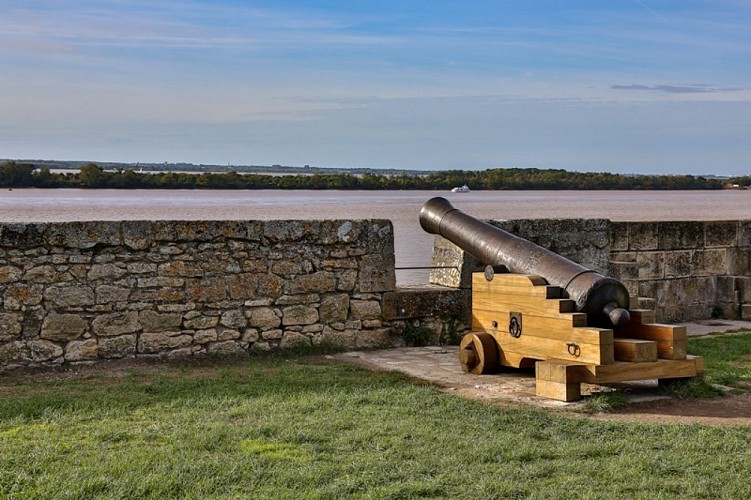 citadelle-Blaye-UNESCO-canon-800x600--Blaye-tourisme-SteveLeClech