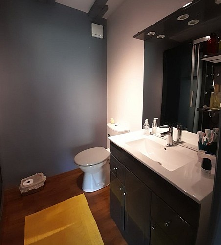 Périgord Noir Vallée Dordogne - la métairie - sdd