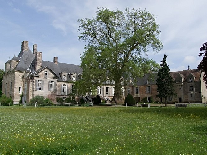 Platane Orient . Château Le Kinnor