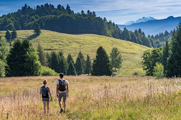 Tour des Bauges - Stage 1 - From La Féclaz to Arith