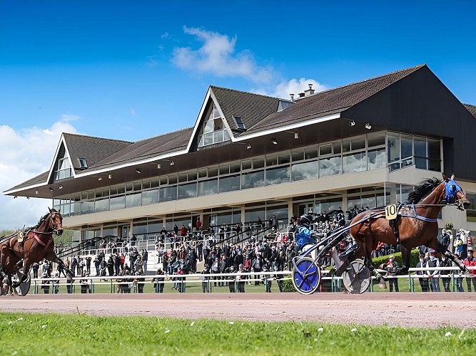 A la découverte des coulisses de l'hippodrome