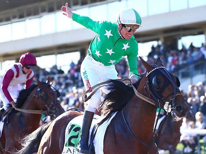 A la découverte des coulisses de l'hippodrome