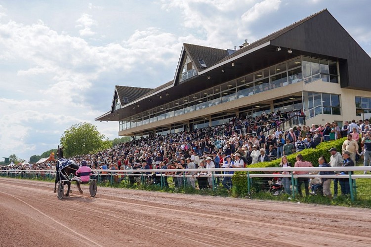 A la découverte des coulisses de l'hippodrome