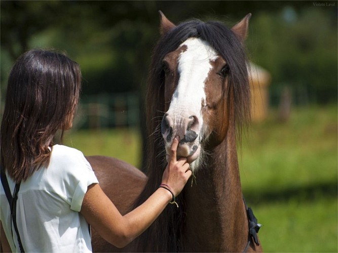 Stage ado 12-18 ans "Immersion en section sportive équitation" (6 jours) au Domaine de Firfol