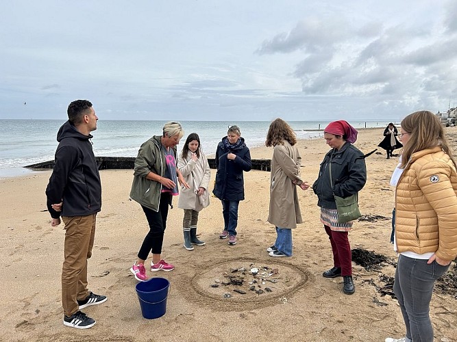 Environnement et créatures de la plage