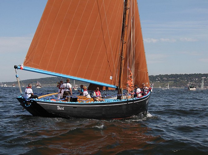 Sortie en mer à bord d'un vieux gréement