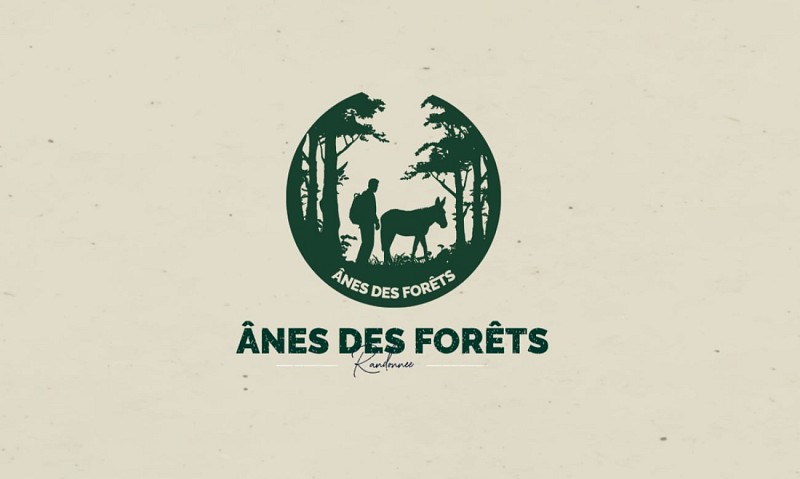 Ânes des Forêts