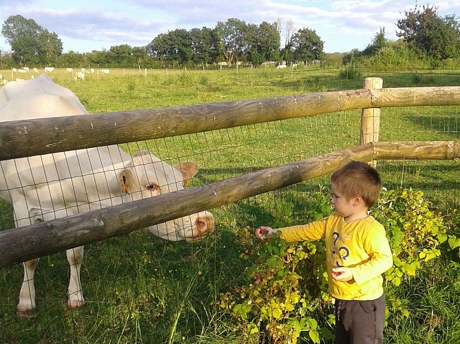 La ferme du Mont Fourrey