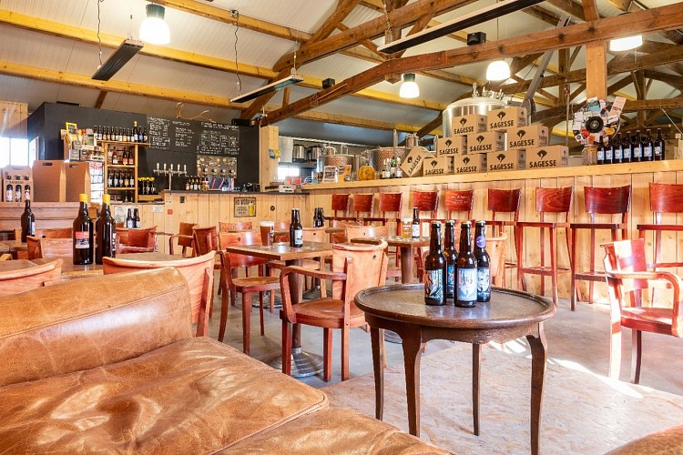 Micro-Brasserie Sagesse – Immersion dans une brasserie artisanale et biologique