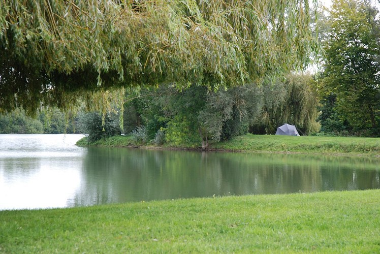 La presqu'île sur l'étang © Emilie Orvain