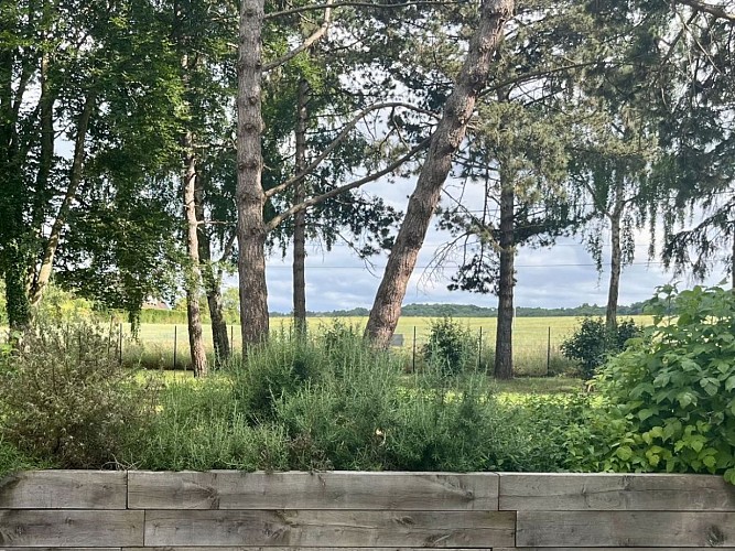 Aire de camping-cars plantations comestibles © Magnolia Leroy (2)