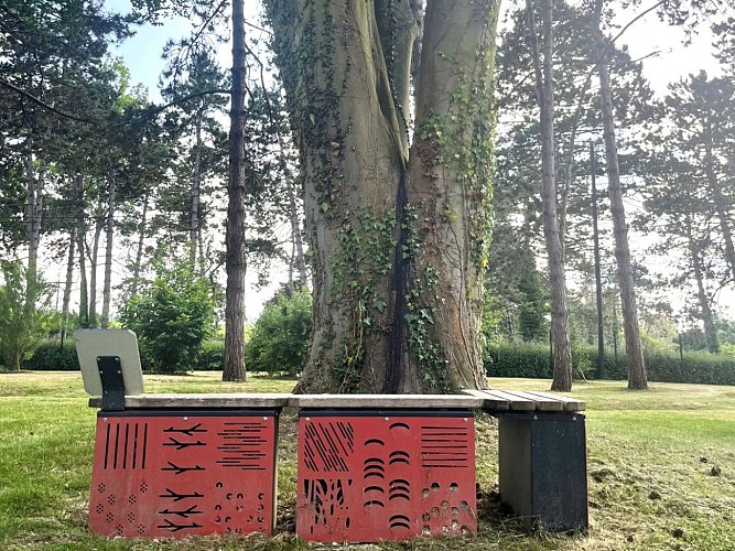 Aire de camping-cars insectes © Magnolia Leroy (2)