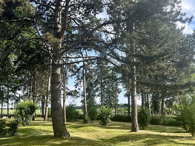 Aire de camping-cars verdure