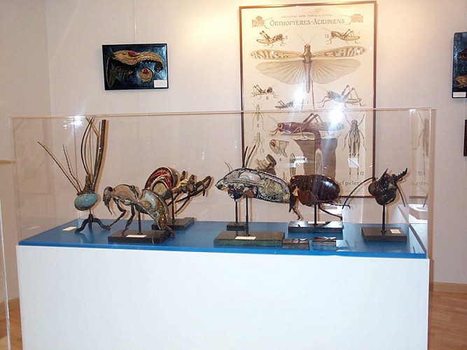 Faune et Flore 4 @ Musée de l'Ecorché d'Anatomie
