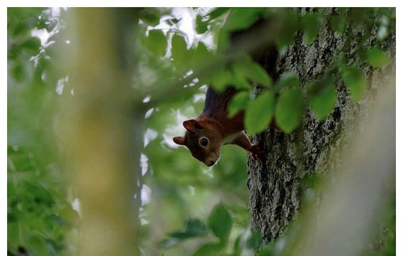 Gîtes de France G1121 : Du Rochelu dans la Baie du Mont Saint-Michel